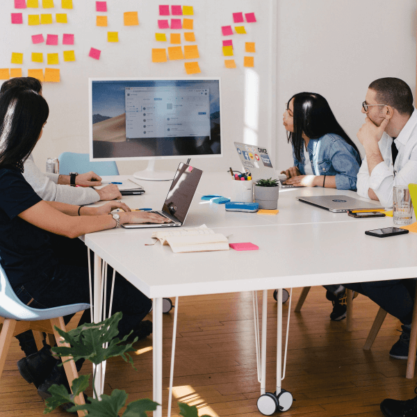 Neve Marketing Agency 16